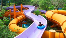 Beli 2 Dapat 3 image